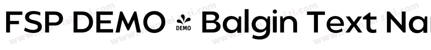 FSP DEMO - Balgin Text Narrow字体转换